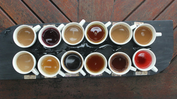 12 Types of Tea: A Complete Guide to Varieties, Benefits, and Brewing