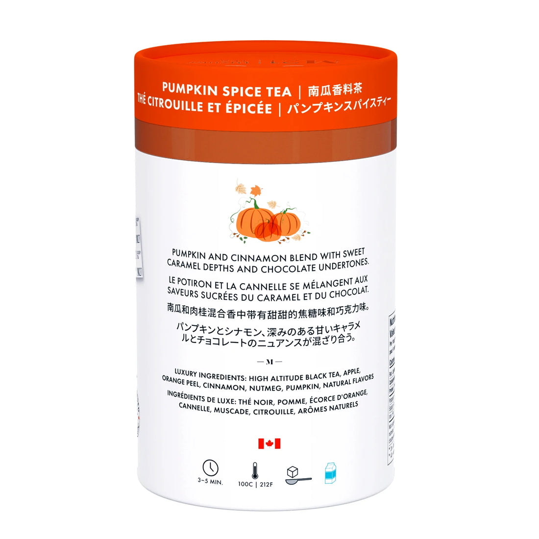 M21 Pumpkin Spice | Warming Harvest Black Tea | Artisan Series